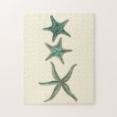 Search for starfish puzzles Sea shells
