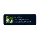 Search for blue jay return address labels Nature