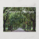 Search for savanna postcards Georgia
