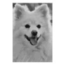 Search for spitz posters Animal