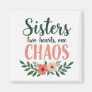 Search for sister magnets Sibling