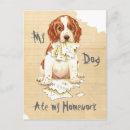 Search for springer postcards Puppy