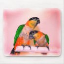 Search for caique Nature
