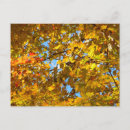 Search for yellow sky postcards Nature
