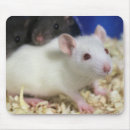 Search for rat mousepads Rodents