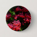 Search for tropical colours round badges Pink