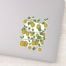 Search for kiwi cartoon stickers Fruit