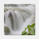 Search for stream magnets Landscape