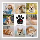 Search for heart collage posters Modern