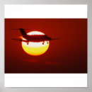 Search for cessna posters Flight