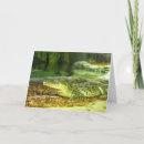 Search for endangered animals cards Conservation