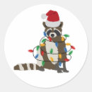 Search for funny racoon stickers Xmas
