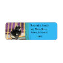 Search for rocks return address labels Photography