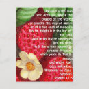 Search for the bible postcards Encouragement