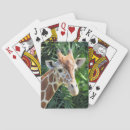 Search for giraffe playing cards Wild animal