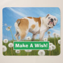 Search for fart home living Cute