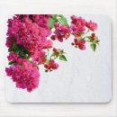 Search for bougainvillea electronics Floral