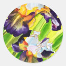 Search for iris flower stickers Colourful