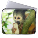 Search for squirrel laptop cases Forest