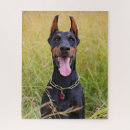 Search for doberman pinscher puzzles Puppy