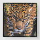 Search for leopard portrait art Leopards