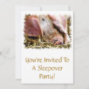 Search for the hogs invitations Pig