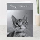 Search for for boss funny birthday cards Cat