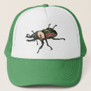 Search for beetle hats Stag