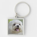 Search for maltese dog key rings Pets