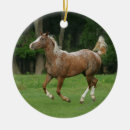 Search for appaloosa horse christmas tree decorations Equestrian