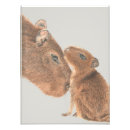 Search for capybara art Watercolor