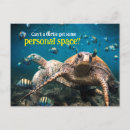 Search for funny swimming birthday cards Fish