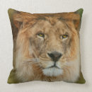 Search for south africa cushions Animal