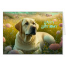 Search for labrador retriever dog postcards Beautiful