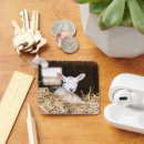 Search for baby lamb key rings Farm