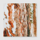 Search for pacific northwest christmas cards Snow