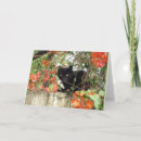 Search for totem cards Nature