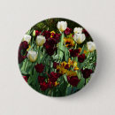 Search for yellow tulips badges Garden