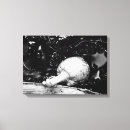 Search for bubble wrap art Black