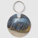 Search for hawaiian turtle key rings Honu