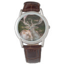 Search for stag watches Nature