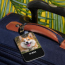 Search for corgi accessories Cute