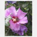 Search for bumblebee blankets Insect