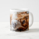 Search for spaniel mugs Cute