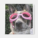 Search for surrey Cool