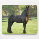 Search for friesian electronics Equestrian