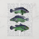 Search for vintage fish postcards Animals