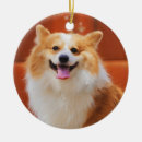 Search for fluffy christmas tree decorations Puppy