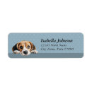 Search for beagle labels Blue