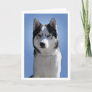 Search for malamute christmas cards Siberian husky